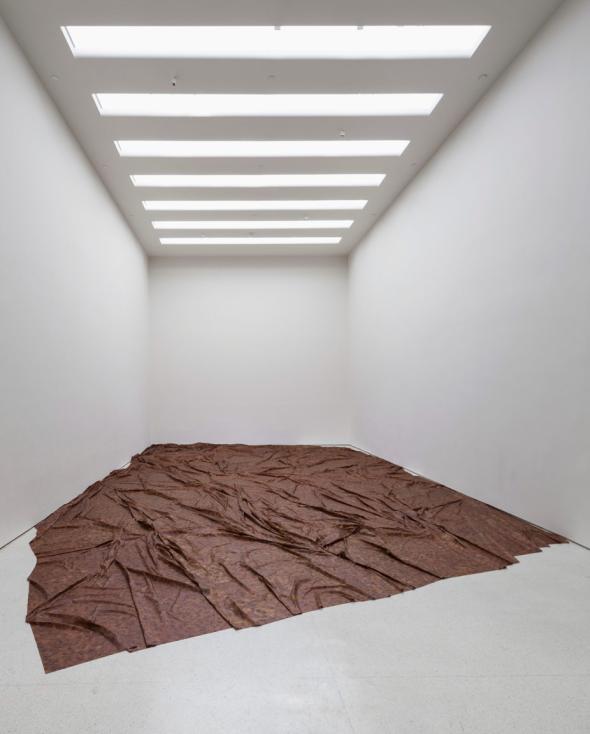 Doris Salcedo, A flor da piel, 2014 