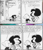 A solidariedade como democracia radical e não-oficial (parte 1)