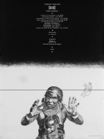 ‘A prática, porém, encarregar-se-ia de desbloquear a situação’: Cinema e antropologia a partir da obra visual de Ruy Duarte de Carvalho