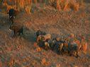 Gorongosa, Moçambique - o renascer da glória