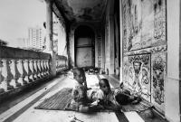 Human Condition - José Cabral 